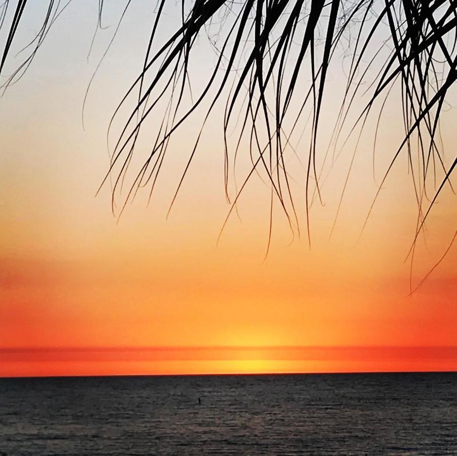 201 Sandy Shores Condos St. Pete Beach Buitenkant foto